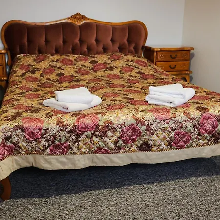Dworek Bursztynowy Karwia Room photo
